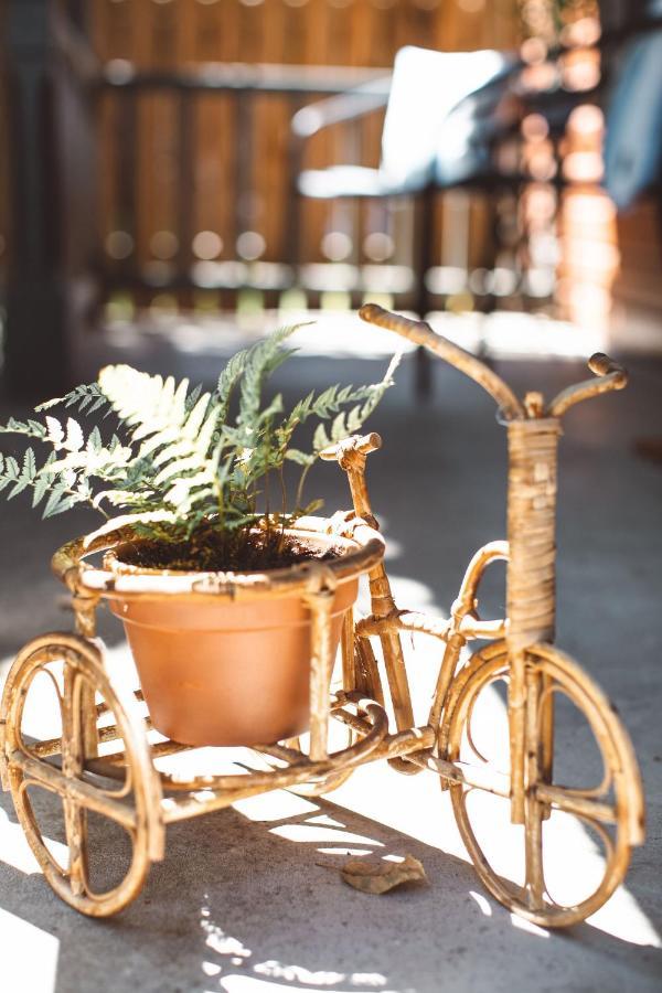 Wynkoop At Carlton: Taste Of Europe, Walk To Wineries, Dog Friendlyヴィラ エクステリア 写真